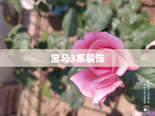宝马3系装饰