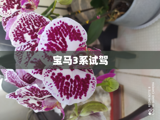 宝马3系试驾