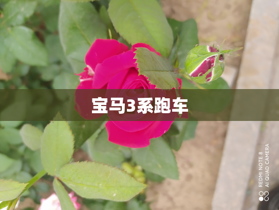 宝马3系跑车