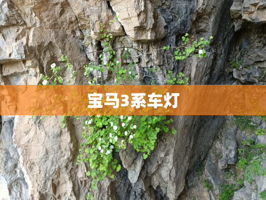 宝马3系车灯