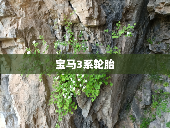 宝马3系轮胎