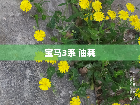 宝马3系 油耗