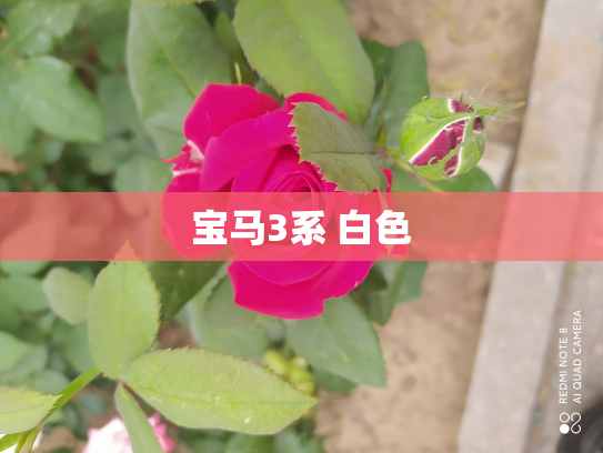 宝马3系 白色