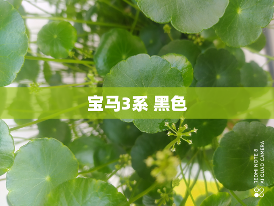 宝马3系 黑色