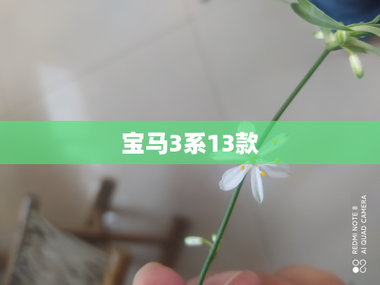 宝马3系13款