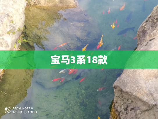 宝马3系18款