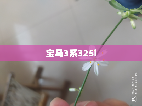 宝马3系325i