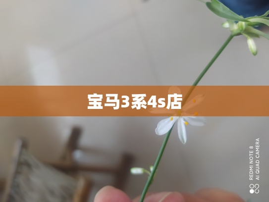 宝马3系4s店