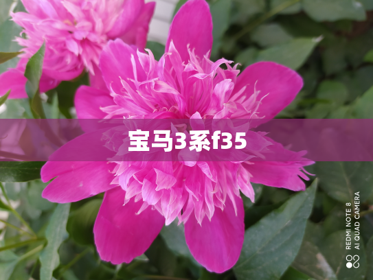 宝马3系f35