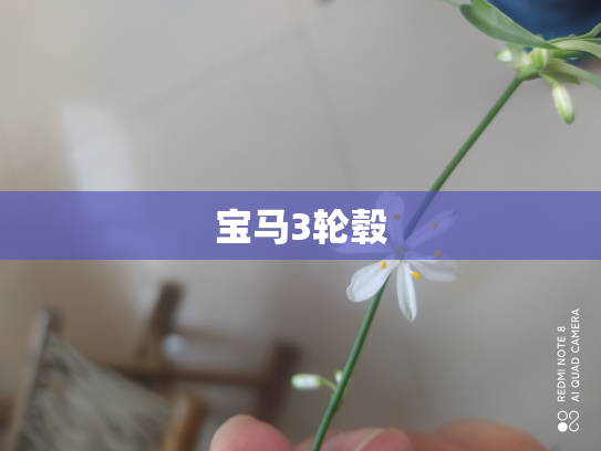 宝马3轮毂