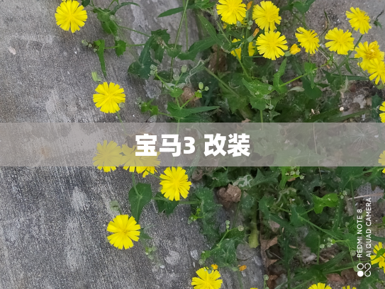 宝马3 改装