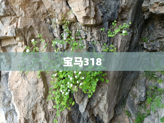 宝马318