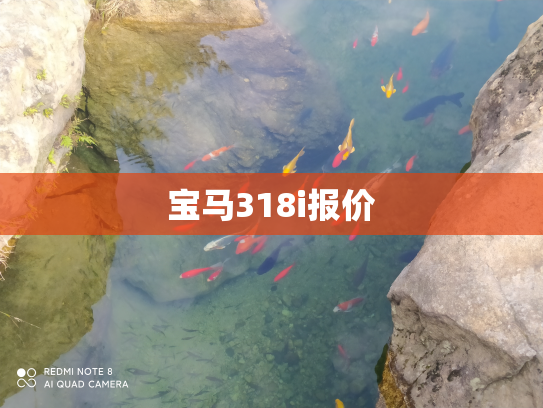 宝马318i报价