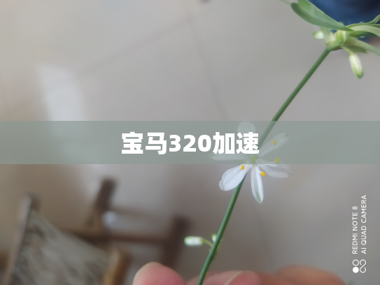 宝马320加速