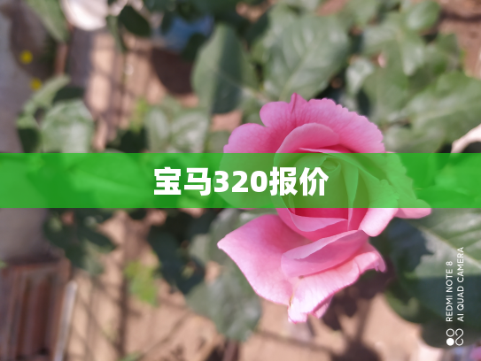 宝马320报价