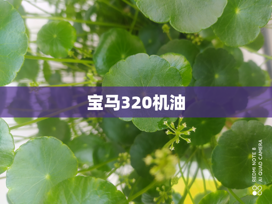 宝马320机油