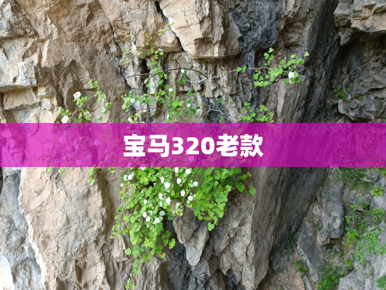 宝马320老款