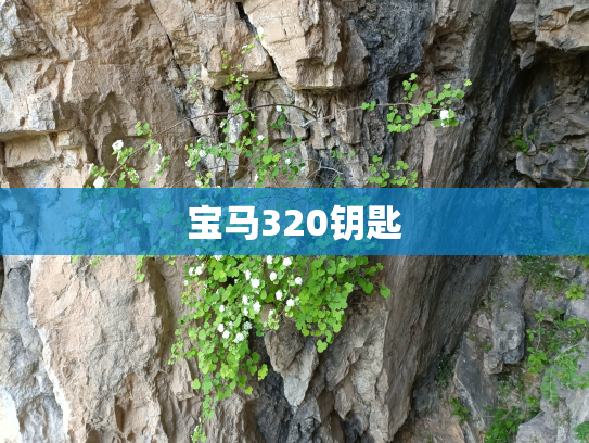 宝马320钥匙