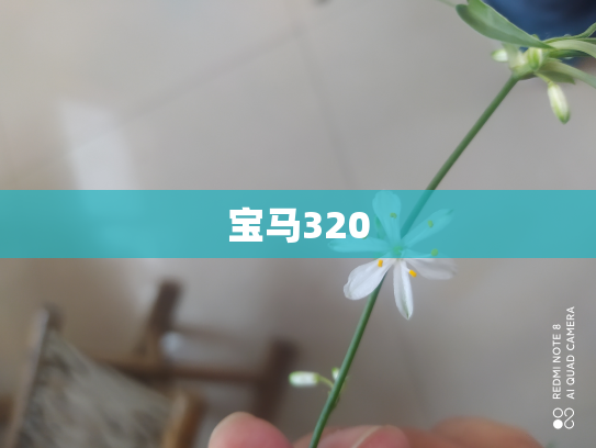 宝马320