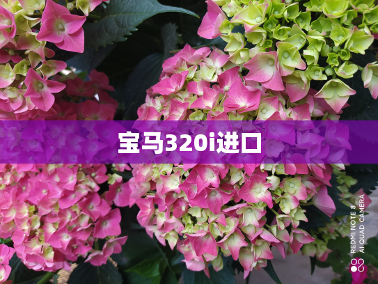 宝马320i进口