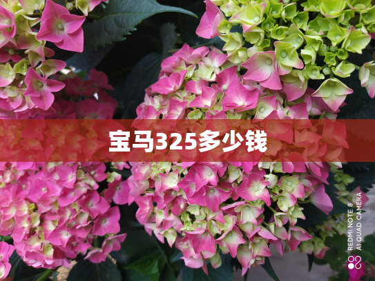 宝马325多少钱