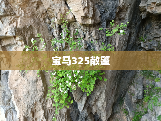 宝马325敞篷