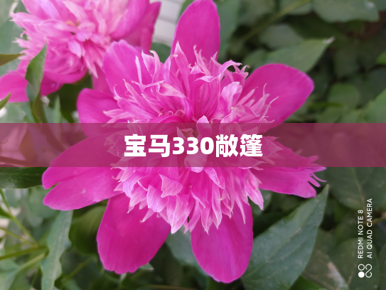 宝马330敞篷