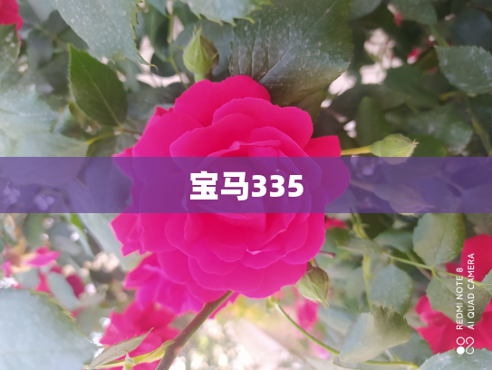 宝马335