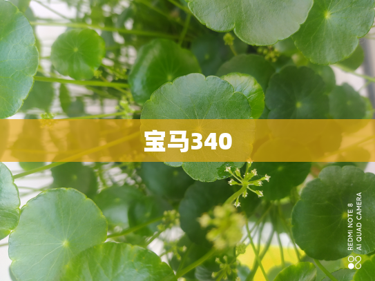 宝马340