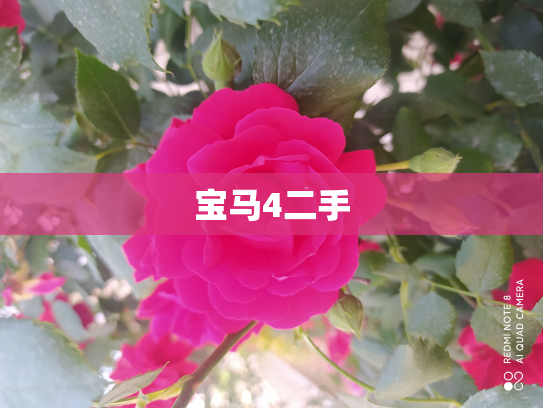 宝马4二手