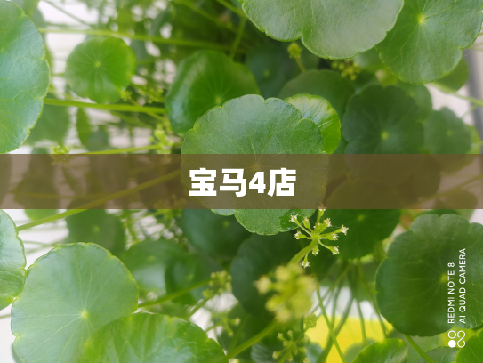 宝马4店