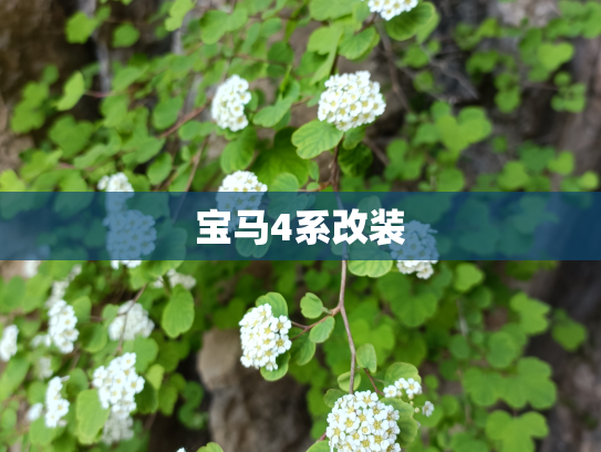 宝马4系改装