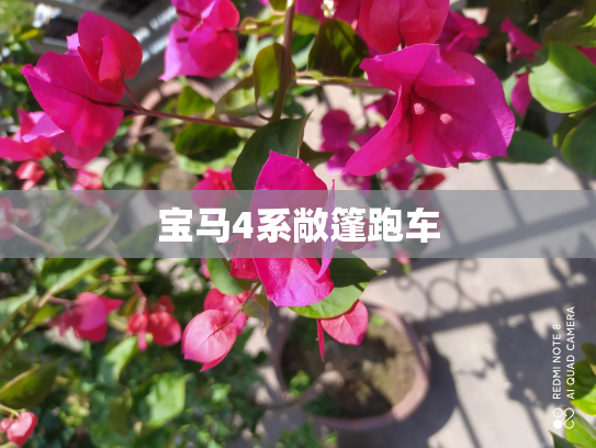 宝马4系敞篷跑车