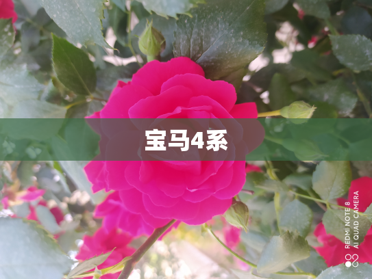 宝马4系