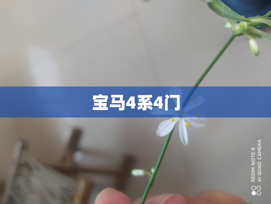 宝马4系4门