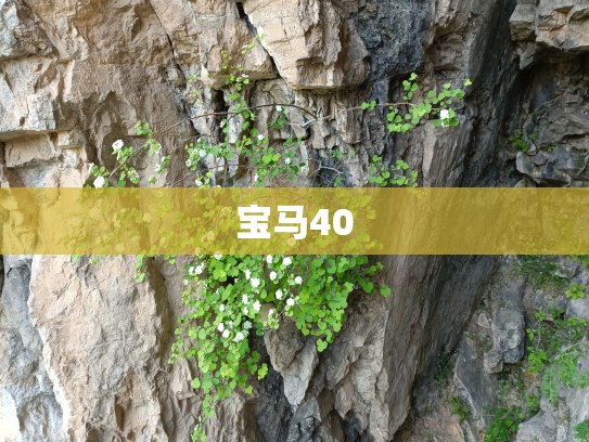 宝马40