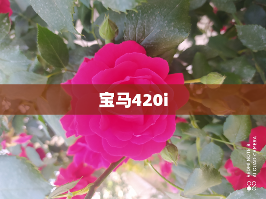 宝马420i