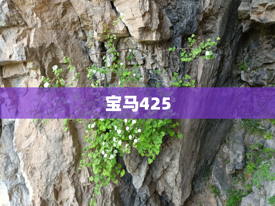 宝马425