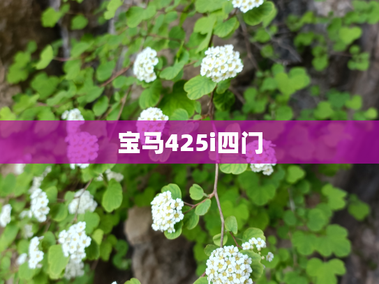 宝马425i四门