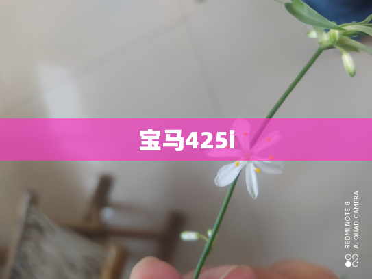 宝马425i