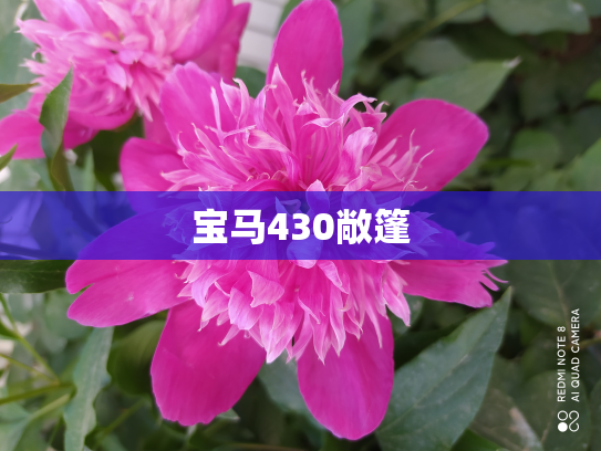 宝马430敞篷