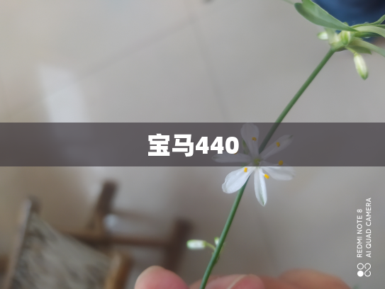 宝马440