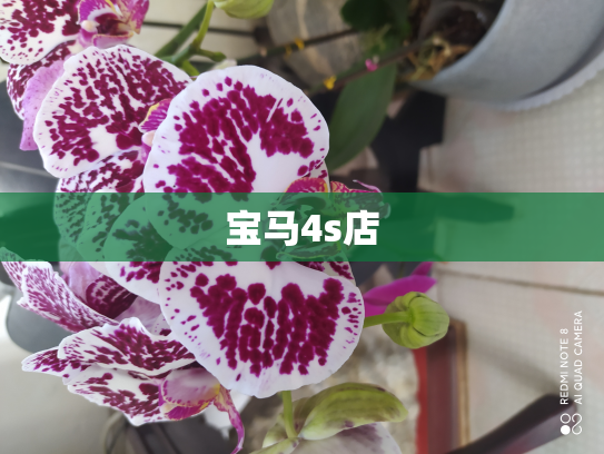 宝马4s店