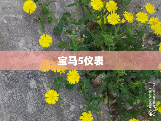 宝马5仪表