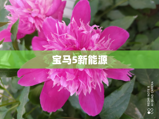 宝马5新能源