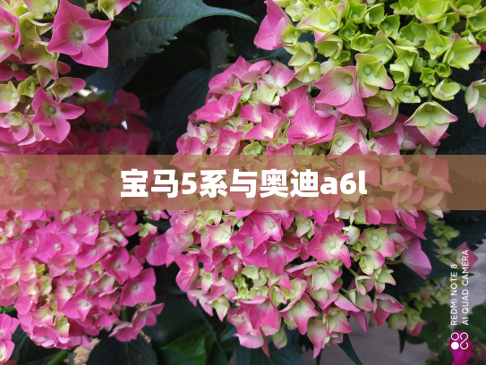 宝马5系与奥迪a6l