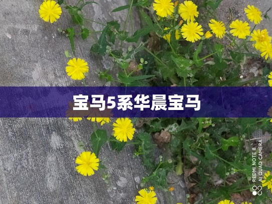 宝马5系华晨宝马