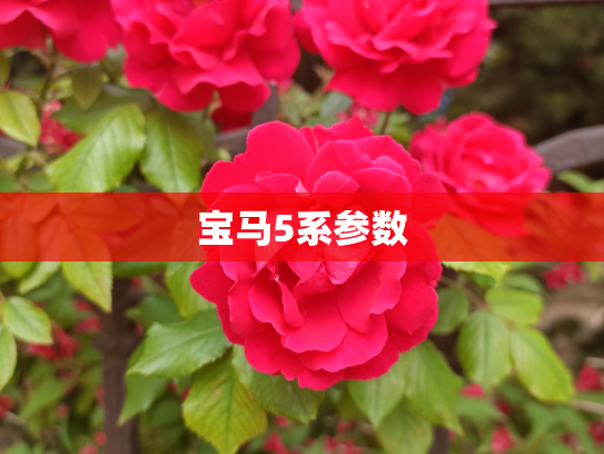 宝马5系参数