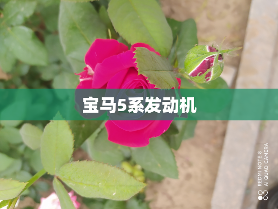 宝马5系发动机