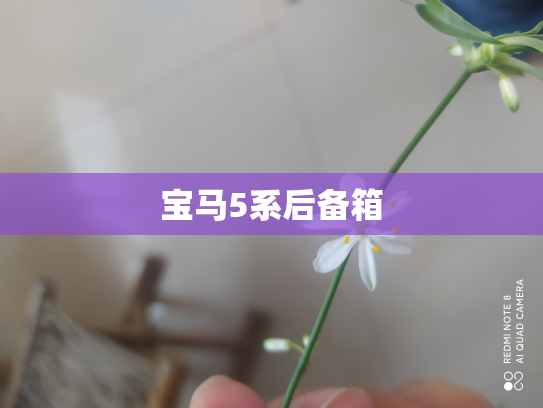 宝马5系后备箱
